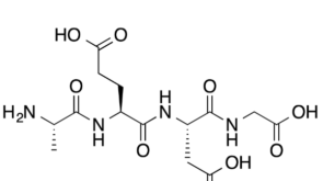 Epitalon-overview-featured-image