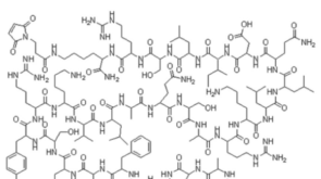 cjc1295-dac-overview-featured-image