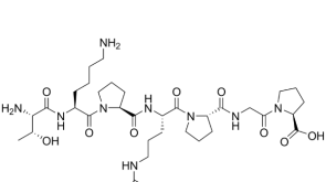 Selank Overview featured image